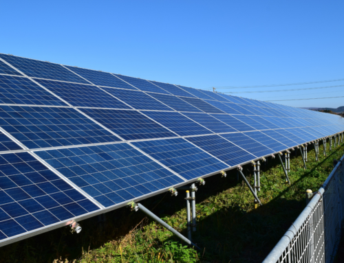 Entretien des panneaux solaires : ce qu’il faut savoir